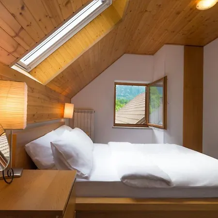 Lepa Soca House Holiday home