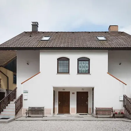 Lepa Soca House Cezsoca