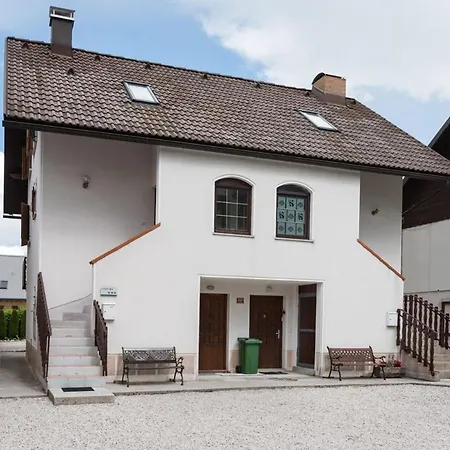 Lepa Soca House Cezsoca