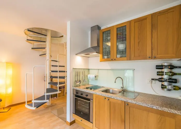 Lepa Soca House Cezsoca