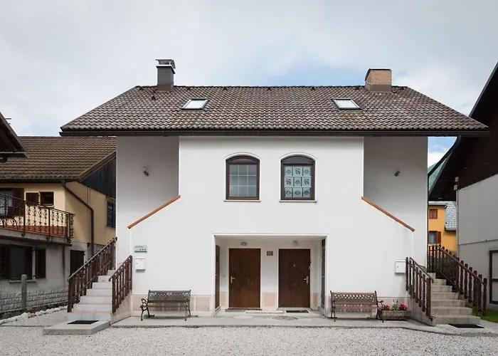 Lepa Soca House Cezsoca