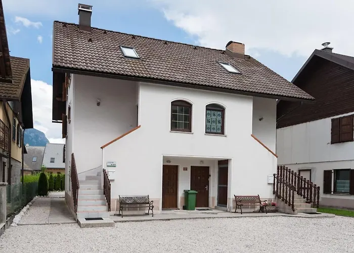 Lepa Soca House Cezsoca