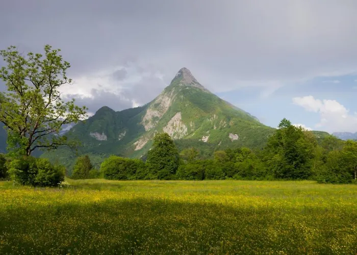 Lepa Soca House Holiday home *