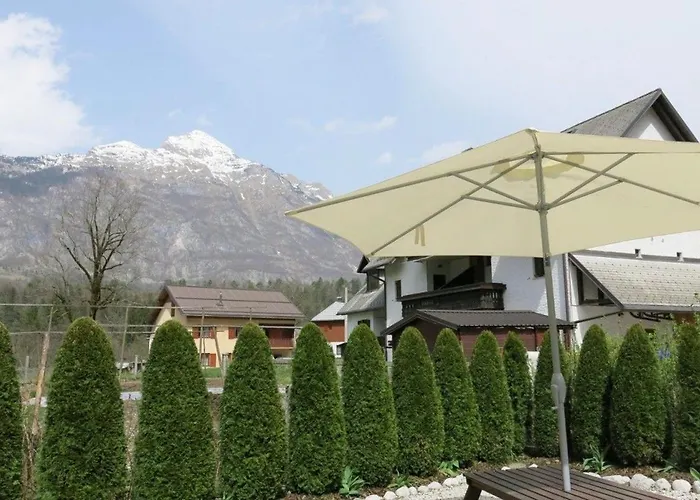 Lepa Soca House Cezsoca